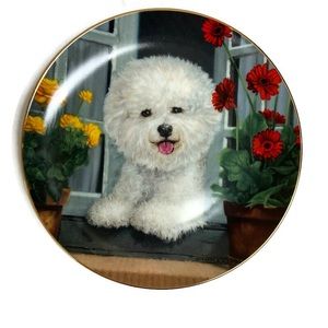 Danbury Mint A Perfect View Decorative Plate in the Bichon Fries Series